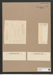 Thalassiothrix longissima Cleve et Grun. (de-Toni-Nr.: Genus 67, Species 2670) Zeichnungen Sammlung Grunow Nr. 5450 (NHMW-BOT-W0373867)